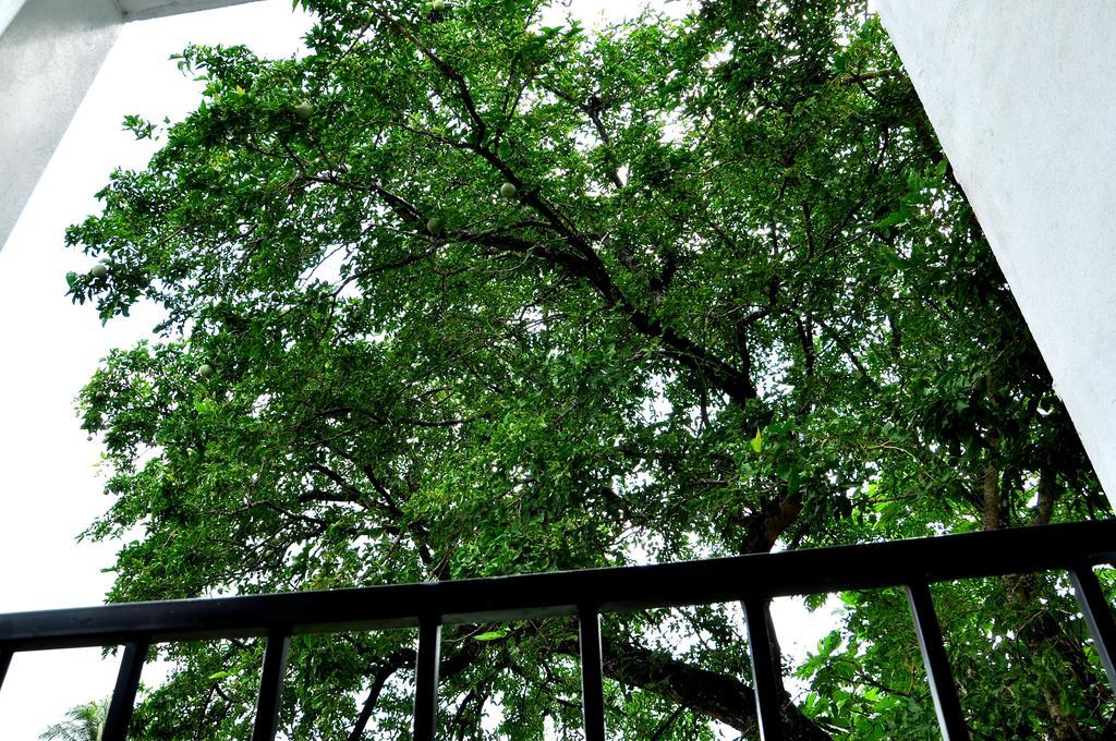Willa Oak Residencies Kiribathgoda Zewnętrze zdjęcie